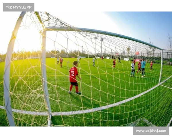 从英超停摆折射现代足球运动生态危机挑战与未来转型发展机遇探析